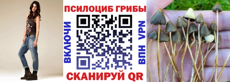 Псилоцибиновые грибы Magic Shrooms  Лесной 